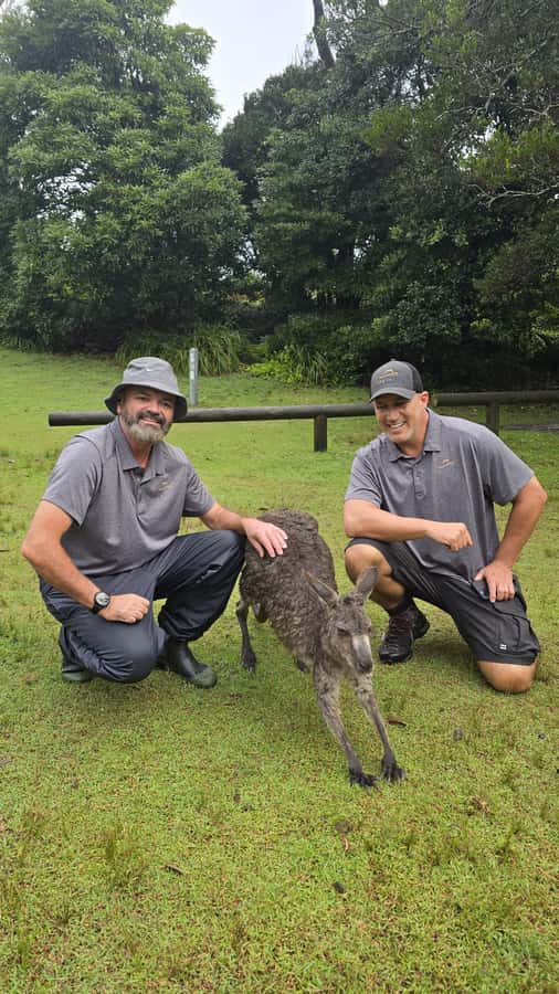 Sydney: Jervis Bay Day Trip with Dolphins, Roos & Beach Time - Key points to know before you book