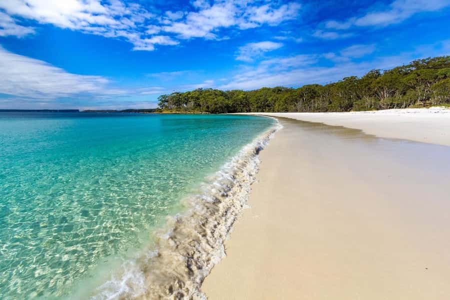 Sydney: Jervis Bay Day Trip with Dolphins, Roos & Beach Time - Weather, clothing, and fitness