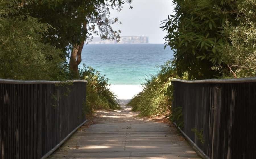 Sydney: Jervis Bay Day Trip with Dolphins, Roos & Beach Time - Meeting bottlenose dolphins on Jervis Bay