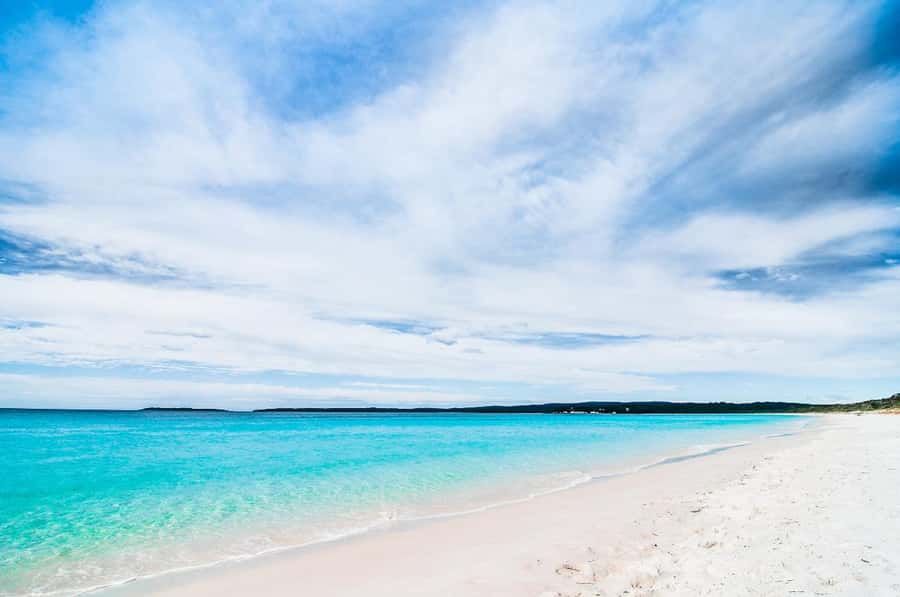 Sydney: Jervis Bay Day Trip with Dolphins, Roos & Beach Time - The ride home and the real pace of the tour