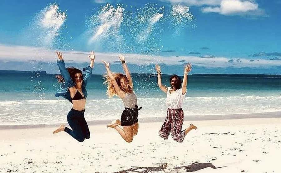 Sydney: Jervis Bay Day Trip with Dolphins, Roos & Beach Time - Starting early at Central Station