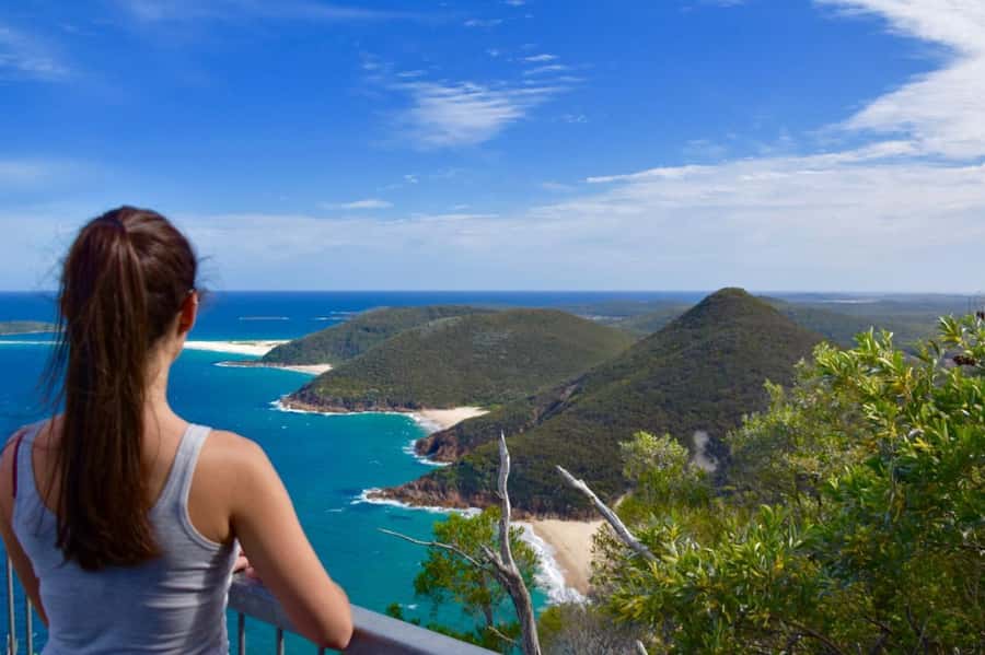 Sydney: Port Stephens Day Trip with Dolphin Cruise or Hike - Key points before you book