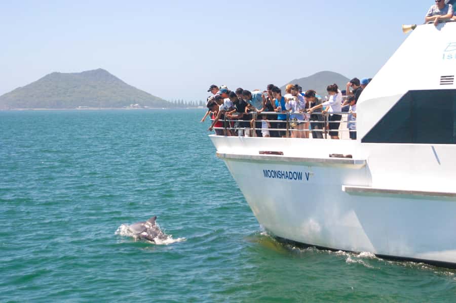 Sydney: Port Stephens Dolphin Cruise & Sandboarding Day Trip - Why this Port Stephens day trip works