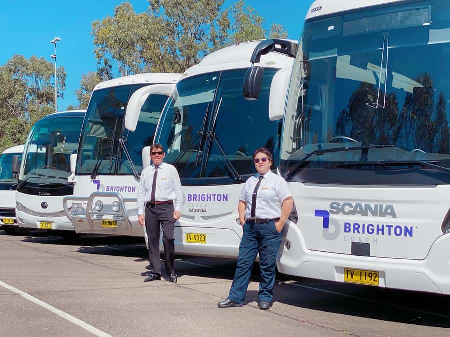 Sydney: Port Stephens Dolphin Cruise & Sandboarding Day Trip - Stockton sand dunes and the 4WD ride