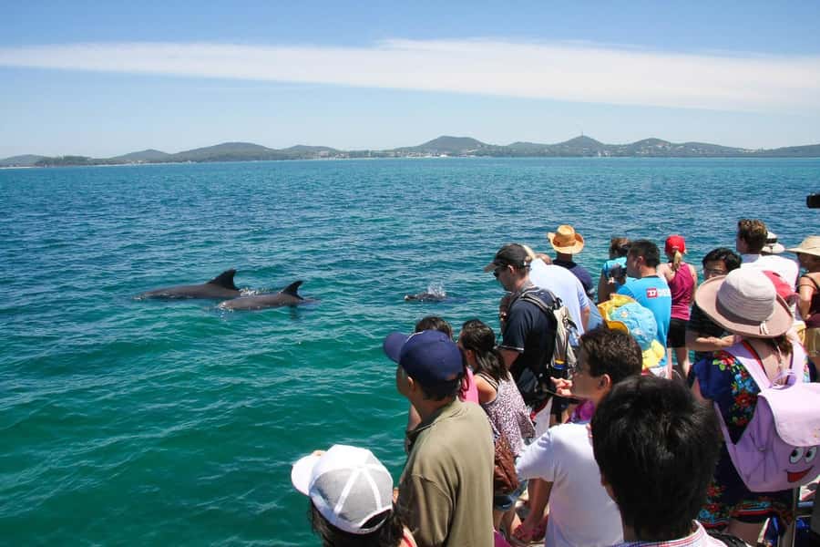 Sydney: Port Stephens Dolphin Cruise & Sandboarding Day Trip - Is $145 good value?