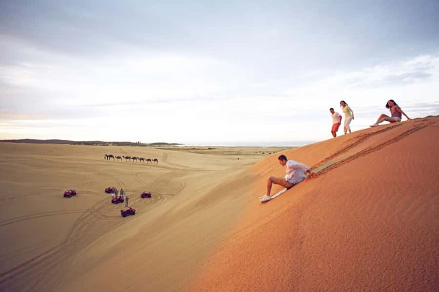 Sydney: Port Stephens Dolphin Cruise & Sandboarding Day Trip - Nelson Bay and the 90-minute dolphin cruise