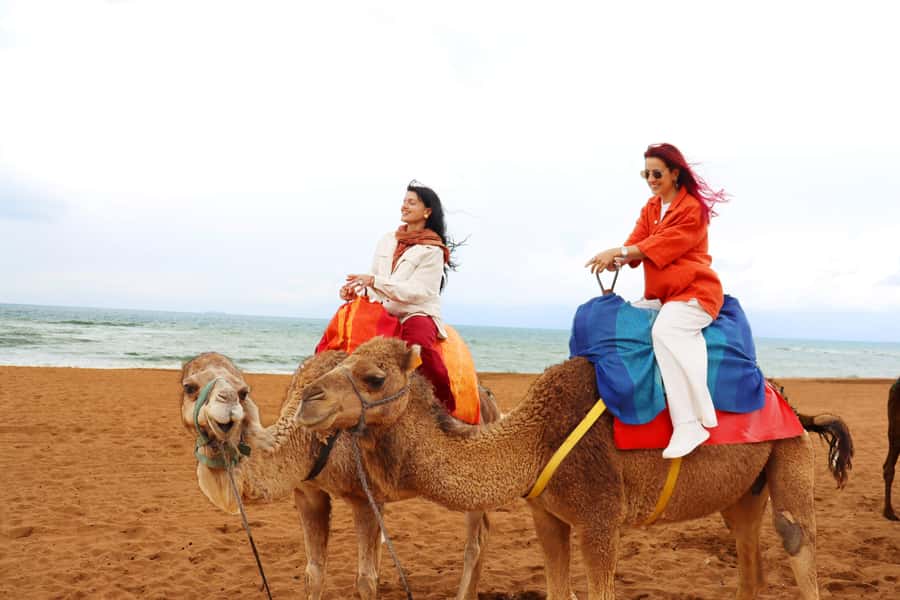 Tarifa: Day trip to Tangier by ferry with lunch and tour guide - Walking through the Ancient Medina