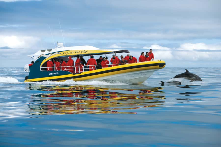 Tasman Peninsula Day Trip with Cruise & Devils from Hobart - Key points to know before booking