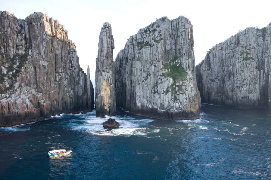 Tasman Peninsula Day Trip with Cruise & Devils from Hobart - Morning tea and the first taste of Tasmania