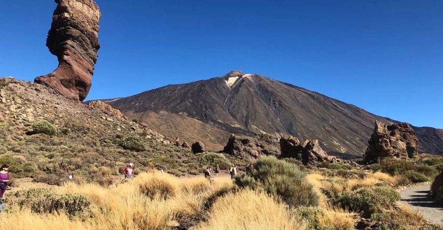 Tenerife: Mount Teide, Masca, Icod and Garachico Day Trip - Five things to know before booking
