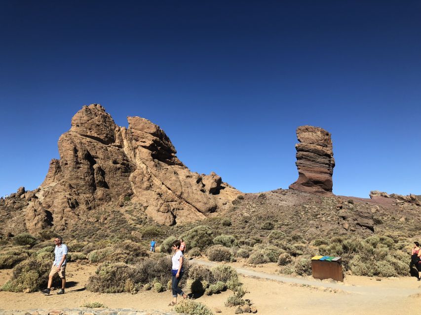 Tenerife: Mount Teide, Masca, Icod and Garachico Day Trip - The guide and driver make the difference