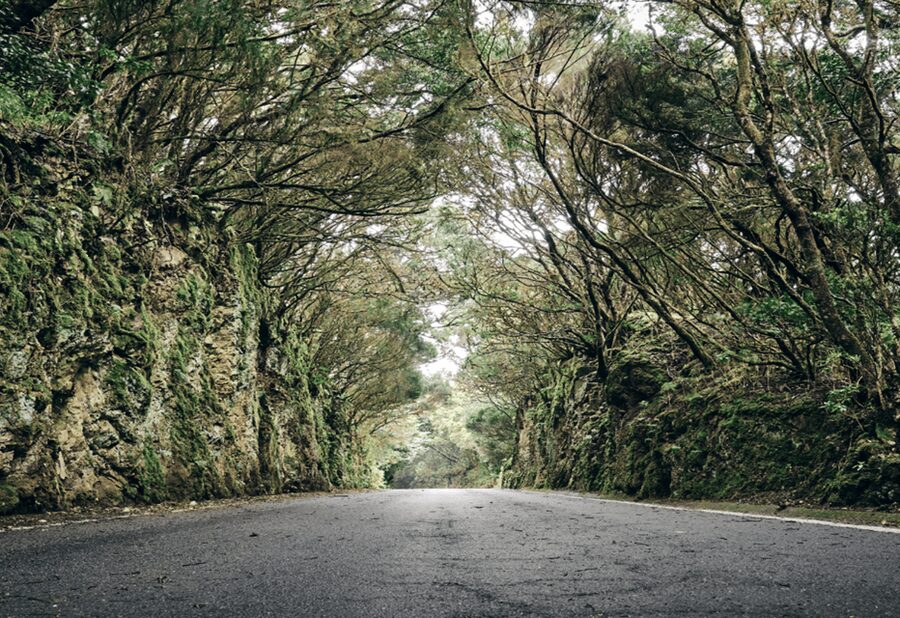 Tenerife: Private Taganana and Anaga Day Trip with Pickup - The Road Through Anaga Rural Park