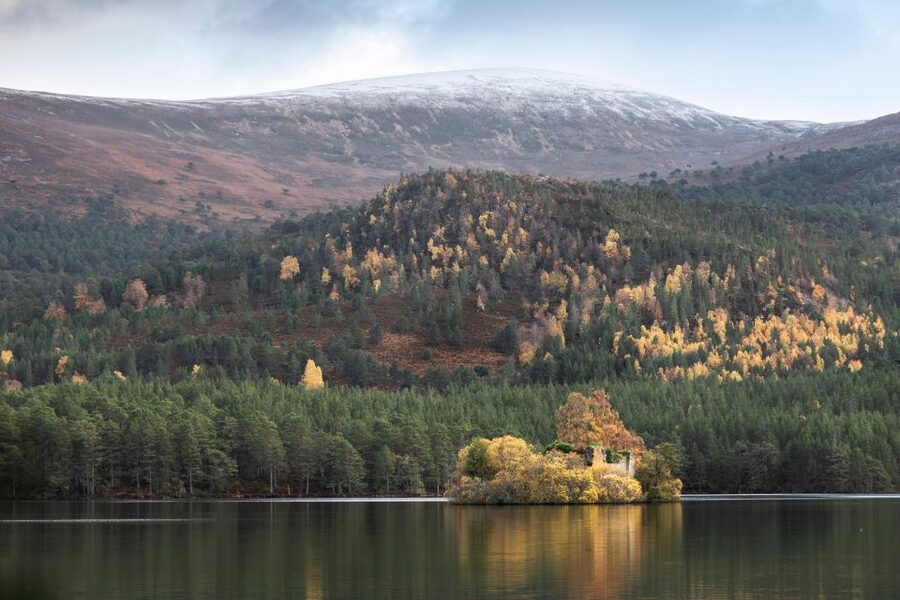 The Cairngorms, Culloden, and Speyside Whisky Tour - A full Highland day from Inverness