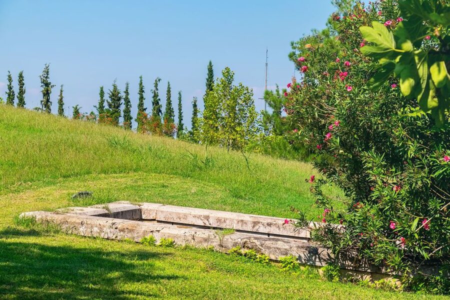 Thessaloniki: Vergina and Pella Day Trip - The New Museum of Aigai and the wider Macedonian story