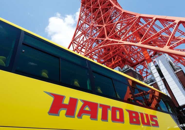 Tokyo: A Half-Day Trip Bus Tour in the Morning - Key details before you book
