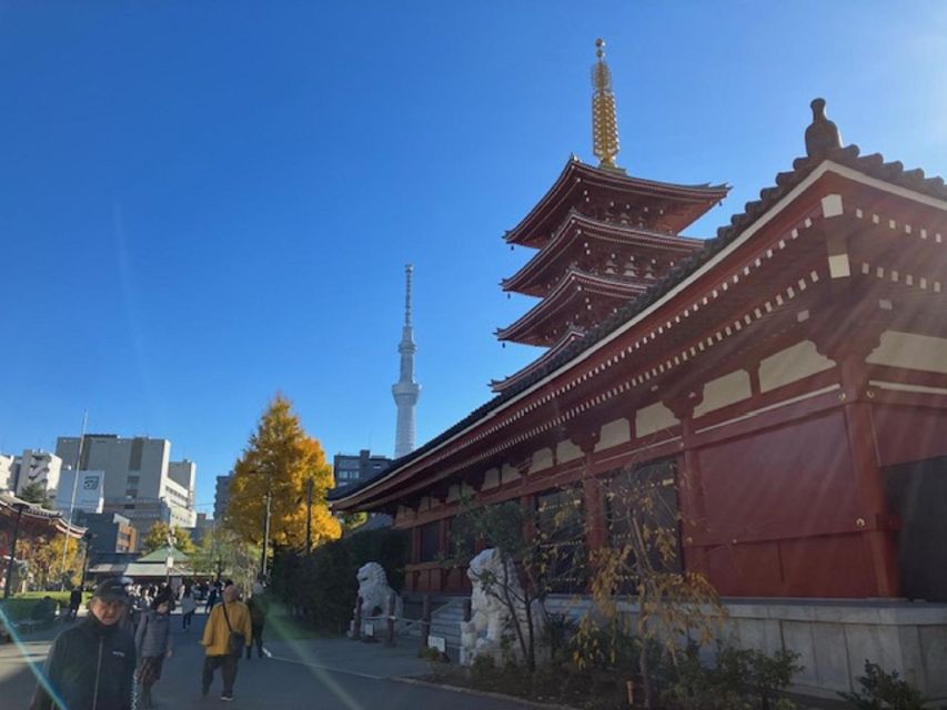 Tokyo: A Half-Day Trip Bus Tour in the Morning - The hybrid bus and guide make the difference