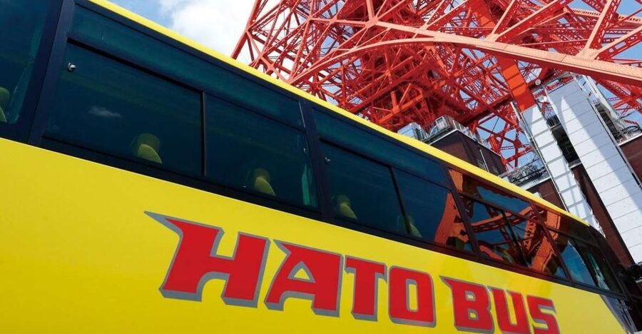 Tokyo: A Half-Day Trip Bus Tour in the Morning - Who should book this Tokyo bus tour?