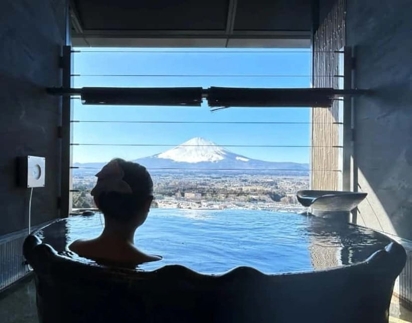 Tokyo: Mount Fuji 5th Station & Onsen Day Trip - Who Will Like This Trip Most?