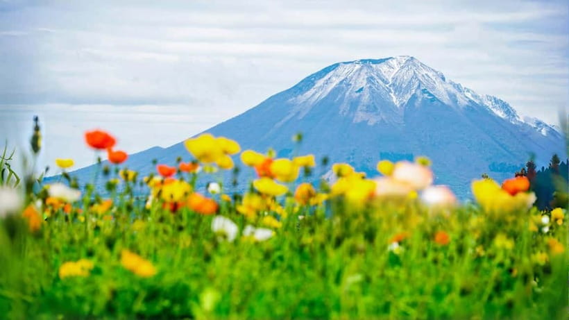 Tokyo: Mount Fuji 5th Station & Onsen Day Trip - Reaching Fuji’s 5th Station at 2,300 Meters
