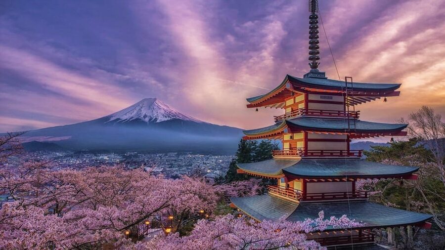 Tokyo: Mount Fuji and Hakone Private Sightseeing Day Tour - Key points to know before booking