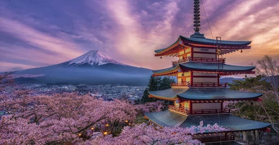 Tokyo: Mount Fuji and Hakone Private Sightseeing Day Tour - Kitaguchi Hongu Fuji Sengen Shrine and its old cedars