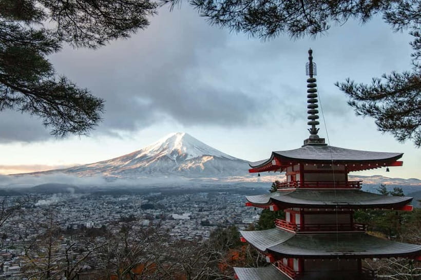 Tokyo: Mount Fuji and Hakone Private Sightseeing Day Trip - Key points to know before booking