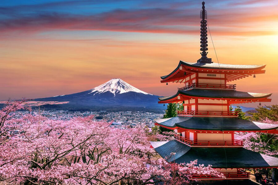 Tokyo: Mount Fuji and Hakone Private Sightseeing Day Trip - Why a private car helps from Tokyo
