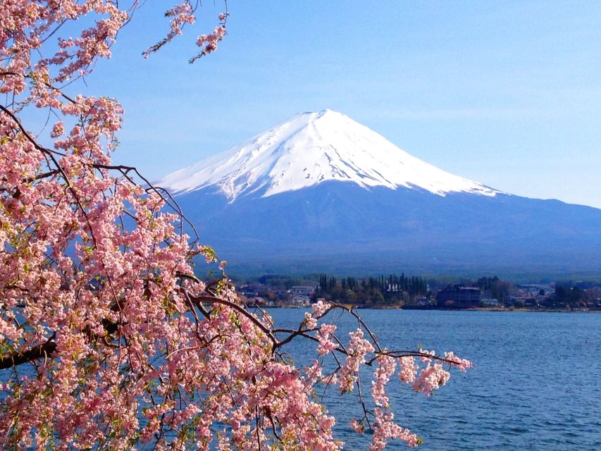 Tokyo: Mount Fuji and Hakone Private Sightseeing Day Trip - What the driver can and cannot do