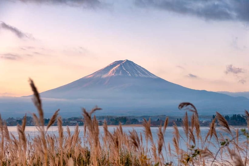 Tokyo: Mount Fuji and Hakone Private Sightseeing Day Trip - Choosing the Mount Fuji and Five Lakes route