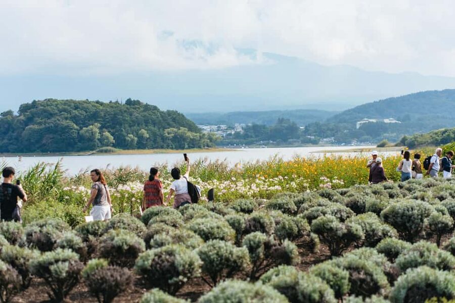 Tokyo: Mt. Fuji, Kamakura, Big Buddha, & Lake Ashi Day Trip - Oishi Park, Lake Kawaguchi, and Fuji photo time