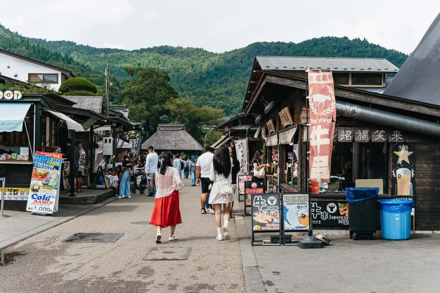Tokyo: Mt. Fuji, Kamakura, Big Buddha, & Lake Ashi Day Trip - Who should book, and who should think twice?
