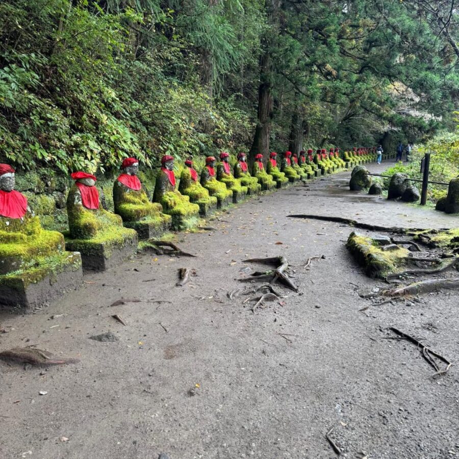 Tokyo → Nikko:Private Customizable Day Trip (English Driver) - Edo Wonderland: a very different final stop