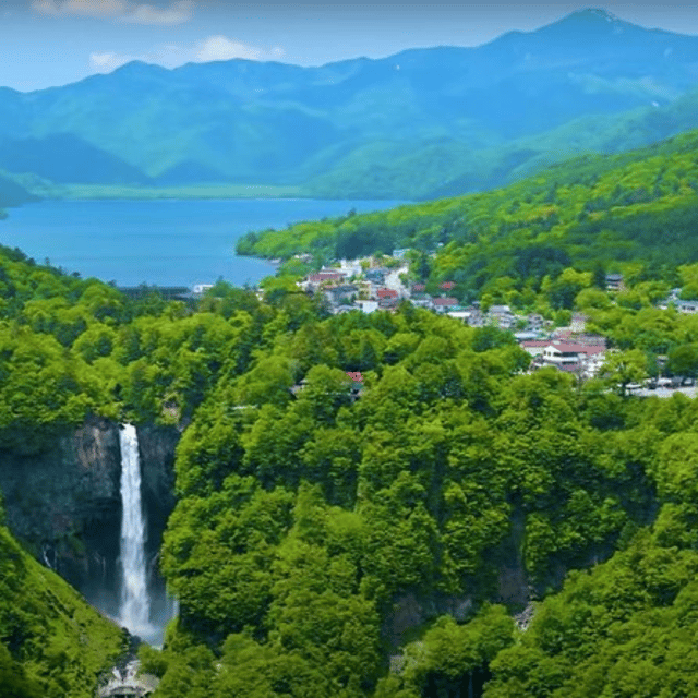 Tokyo → Nikko:Private Customizable Day Trip (English Driver) - Guides, drivers, and the human side of the tour