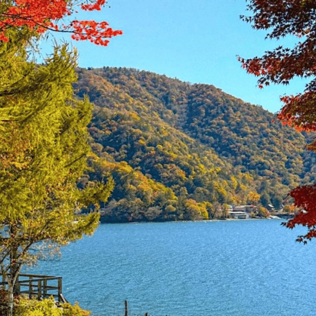 Tokyo → Nikko:Private Customizable Day Trip (English Driver) - Is $388 good value for your group?
