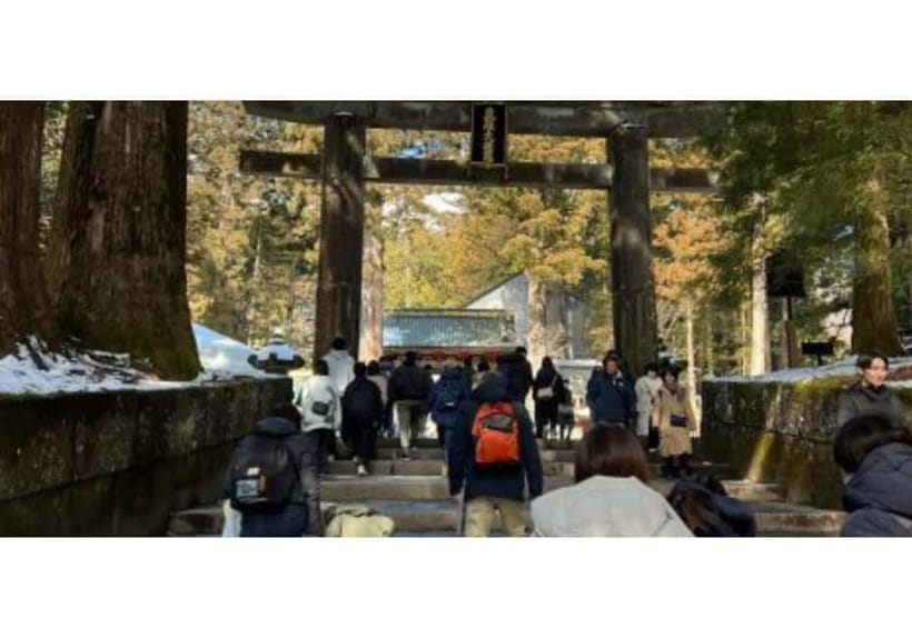 Tokyo: Nikko World Heritage Private Day Trip Hotel Pick-up - Key points at a glance