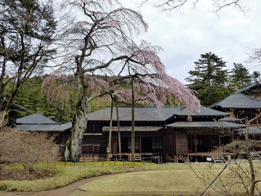 Tokyo: Nikko World Heritage Private Day Trip Hotel Pick-up - Toshogu Shrine and the Tokugawa legacy