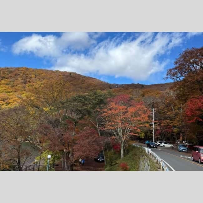 Tokyo: Nikko World Heritage Private Day Trip Hotel Pick-up - The long ride from Tokyo to Nikko