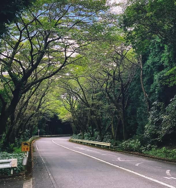 Tokyo: Onsen, Arts, and Nature Day Trip to Fuji and Hakone - Why this Fuji and Hakone day trip works