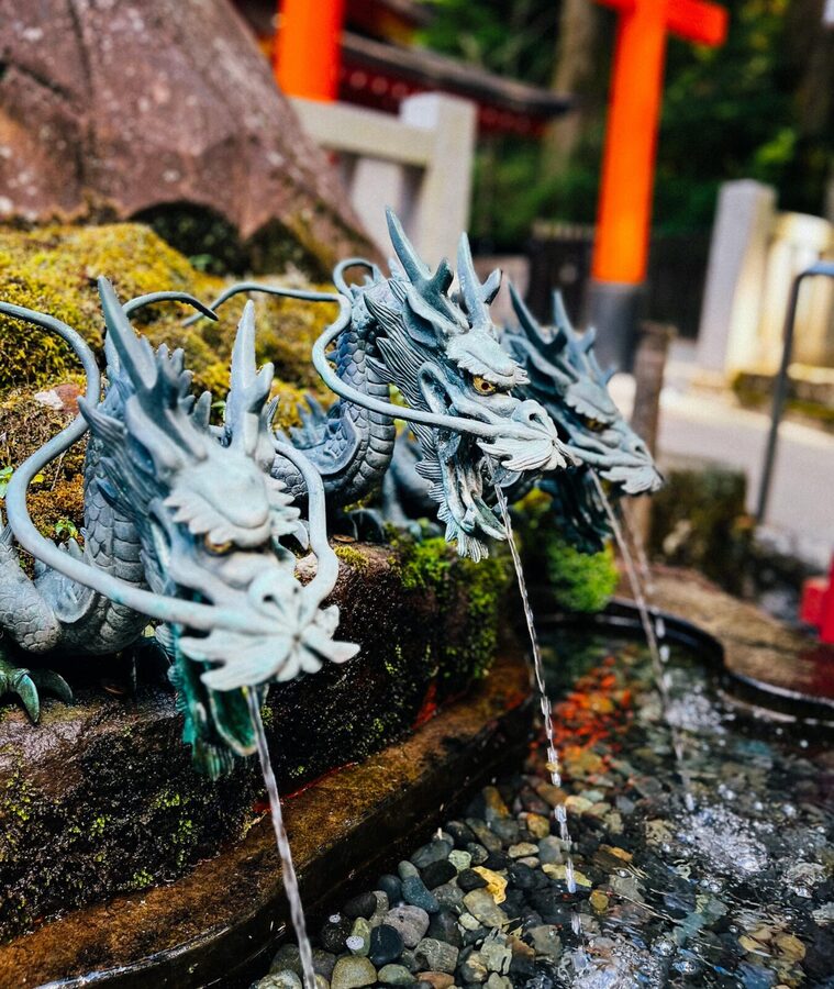 Tokyo: Onsen, Arts, and Nature Day Trip to Fuji and Hakone - Lunch and bathing at Tenzan Onsen