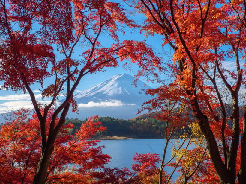 Tokyo: Onsen, Arts, and Nature Day Trip to Fuji and Hakone - What the $316 price means