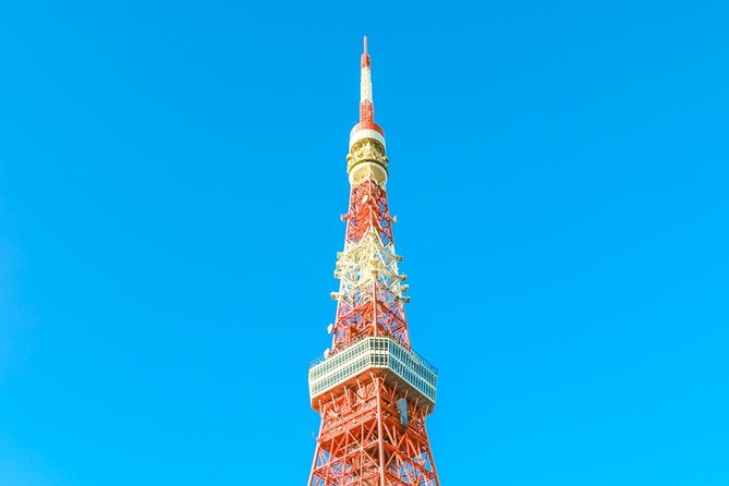 Tokyo Private Day Trip - Enjoy Your First-Time Visit to Tokyo! - What private guiding adds to the public transport day