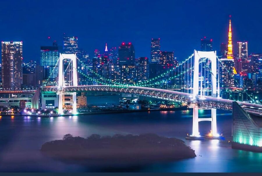 Tokyo Private Day Trip With English Speaking Driver - What this private Tokyo day actually gives you