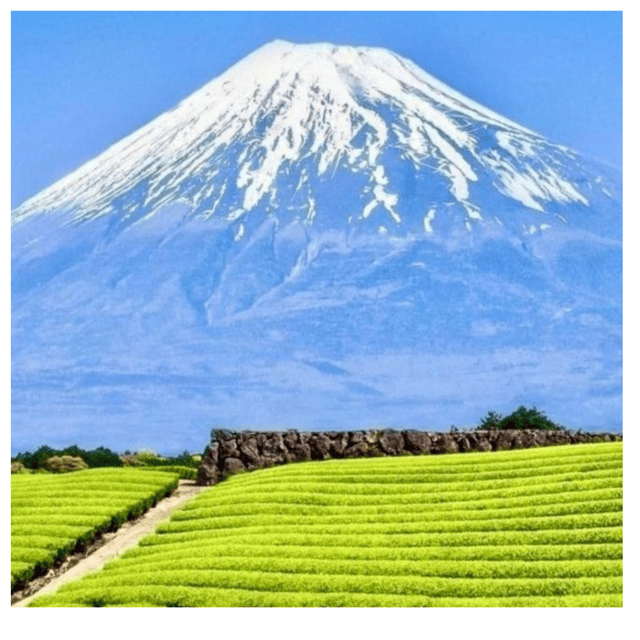 “Tokyo to Mt. Fuji & Hakone: Private Customizable Day Trip” - Key points at a glance