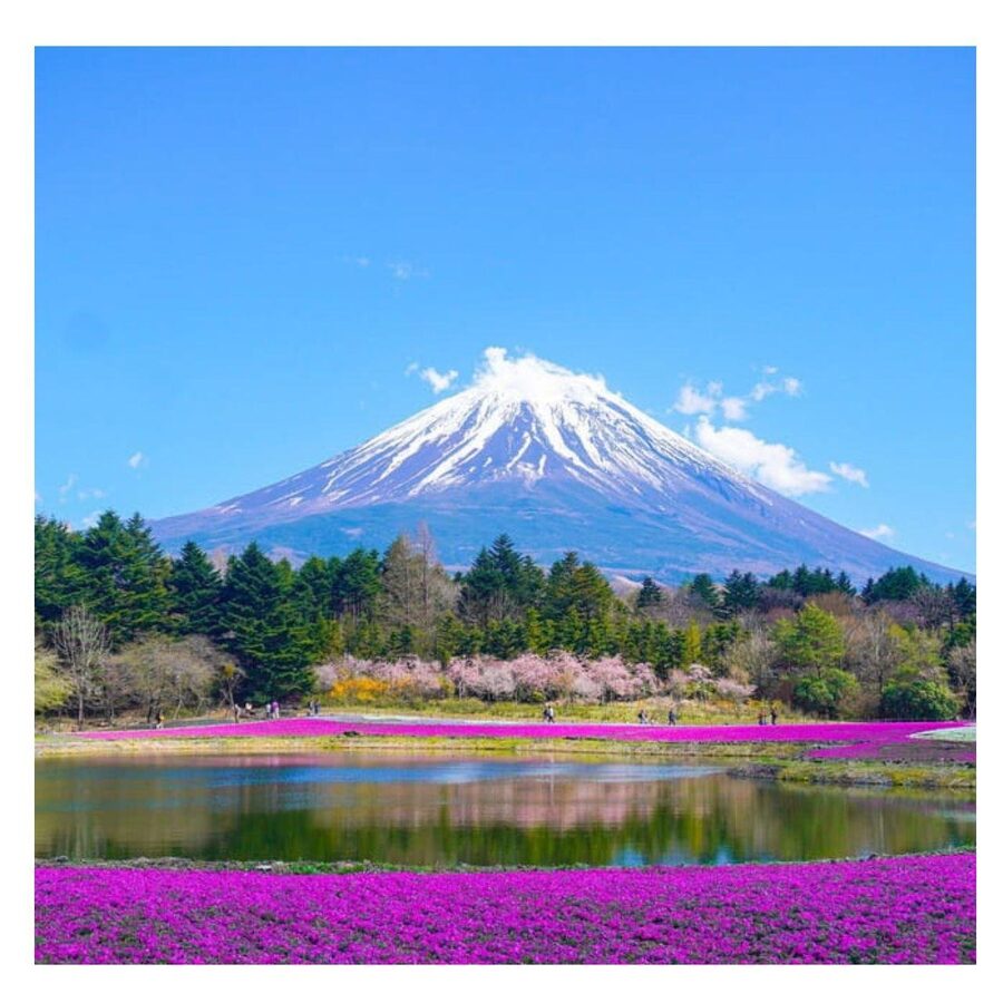 “Tokyo to Mt. Fuji & Hakone: Private Customizable Day Trip” - Hakone, Lake Ashi, and a different side of Japan