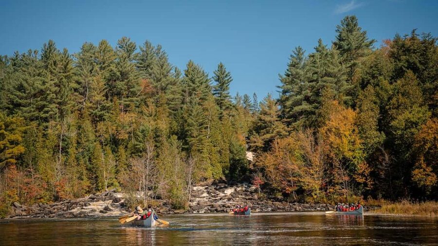 Toronto: Algonquin Park and Ragged Falls Day Trip - The day in six useful points