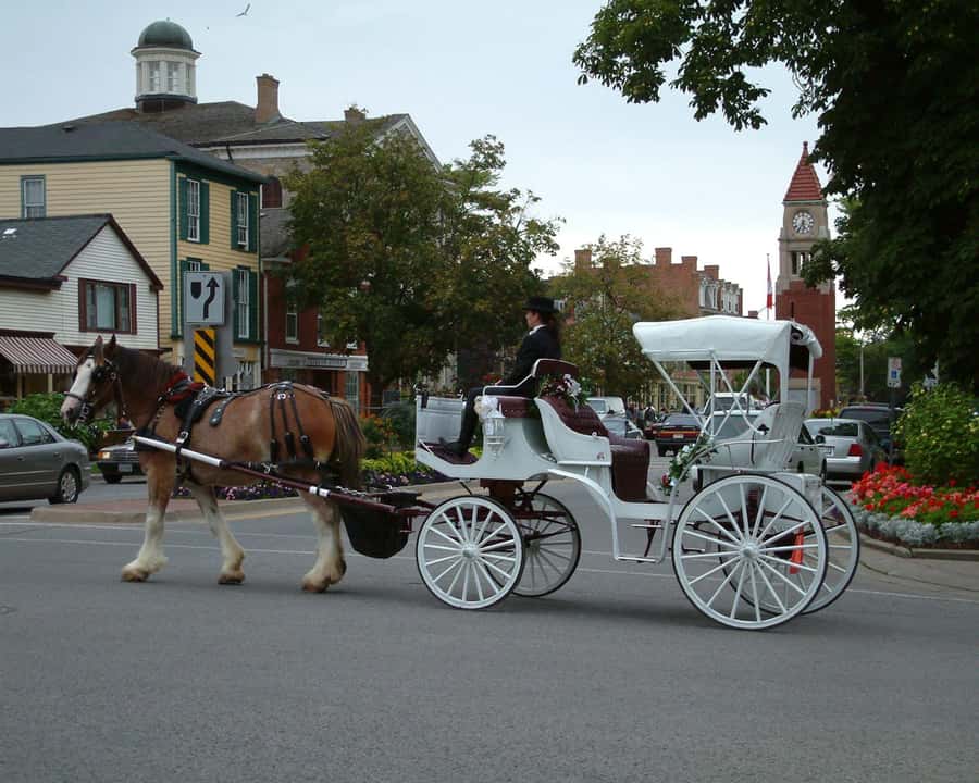 Toronto: Small-Group Niagara Falls Day Trip - Who will get the most from this day?