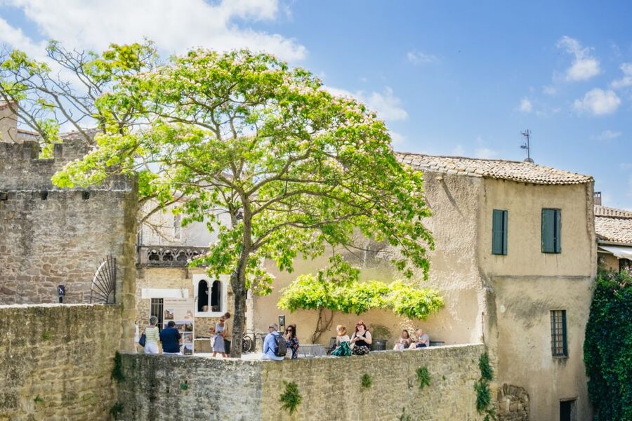 Toulouse: Carcassonne Day Trip by Coach with Audioguide - The Henri Trip audio guide