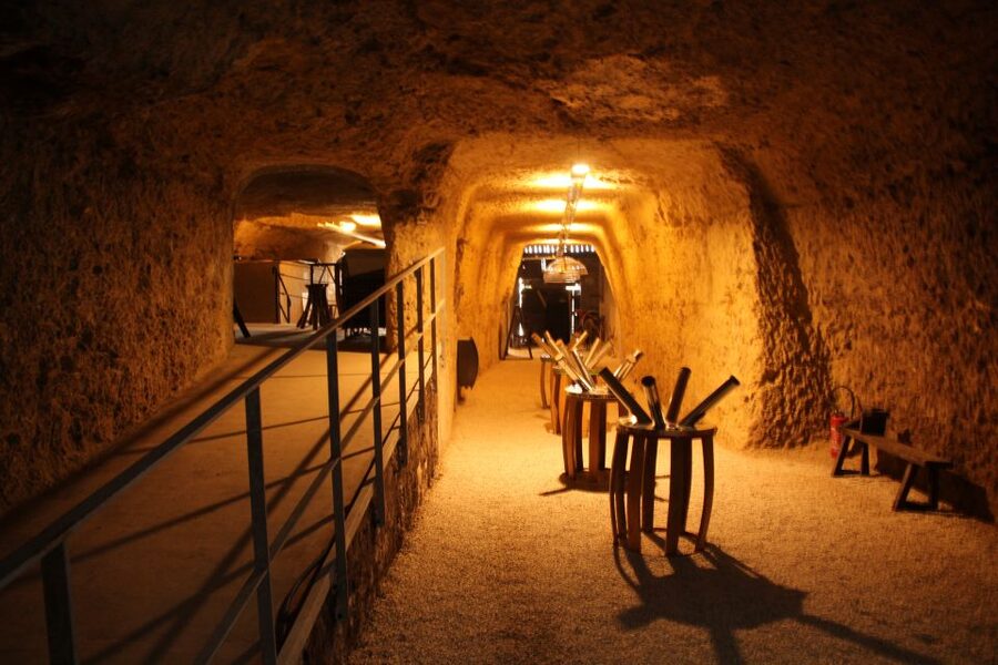 Tours/Amboise: Chambord, Chenonceau Day Trip & Wine Tasting - Amboise and Caves Ambacia: the day’s most relaxed break
