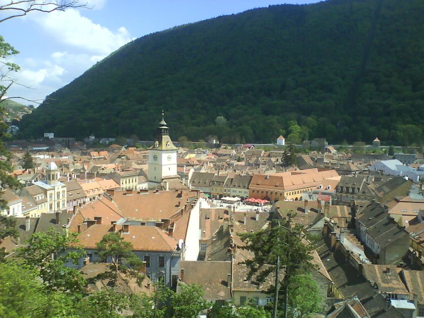 Transylvania: Cultural Full-Day Trip by Minivan - Is $441 good value for two people?