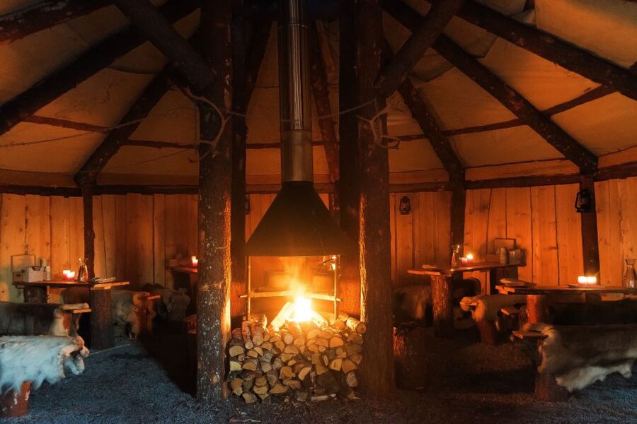 Tromsø: Reindeer Sled, Dinner, and Chance of Northern Lights - At a glance: what makes this evening special